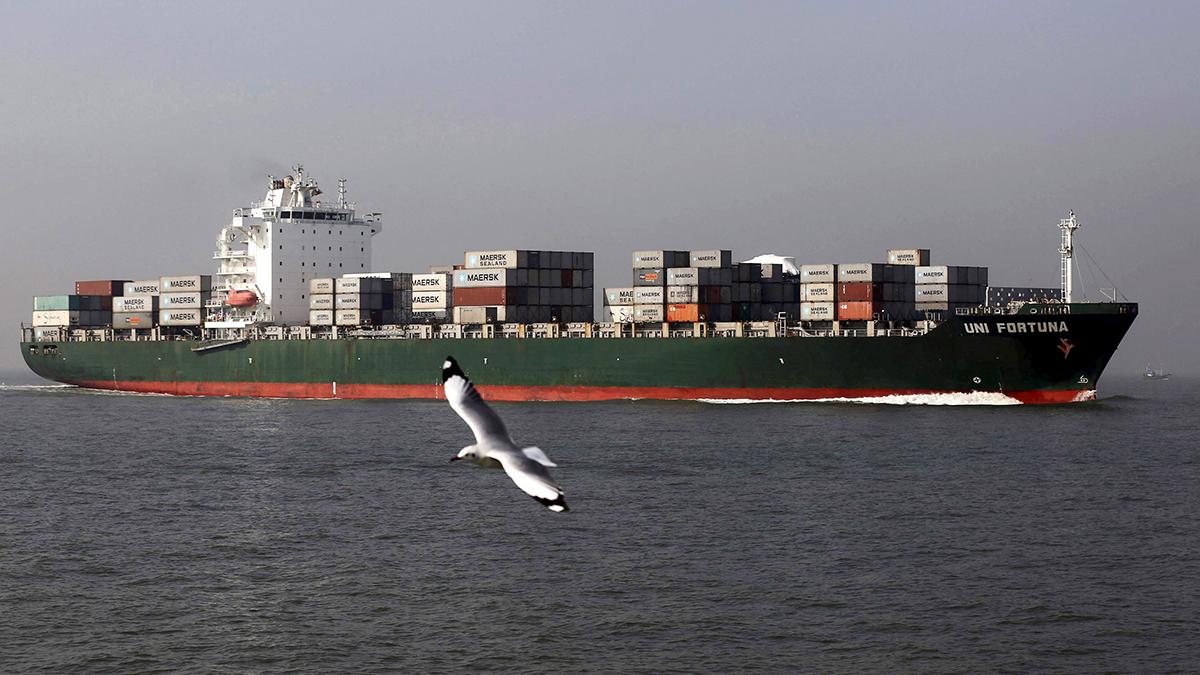 Shipping Corp of India privatisation plan in the works/Representative image Shipping Corp of India privatisation plan in the works/Representative image