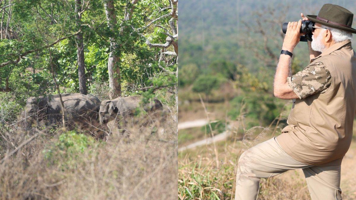 (Image: PM Modi/Twitter) (Image: PM Modi/Twitter)