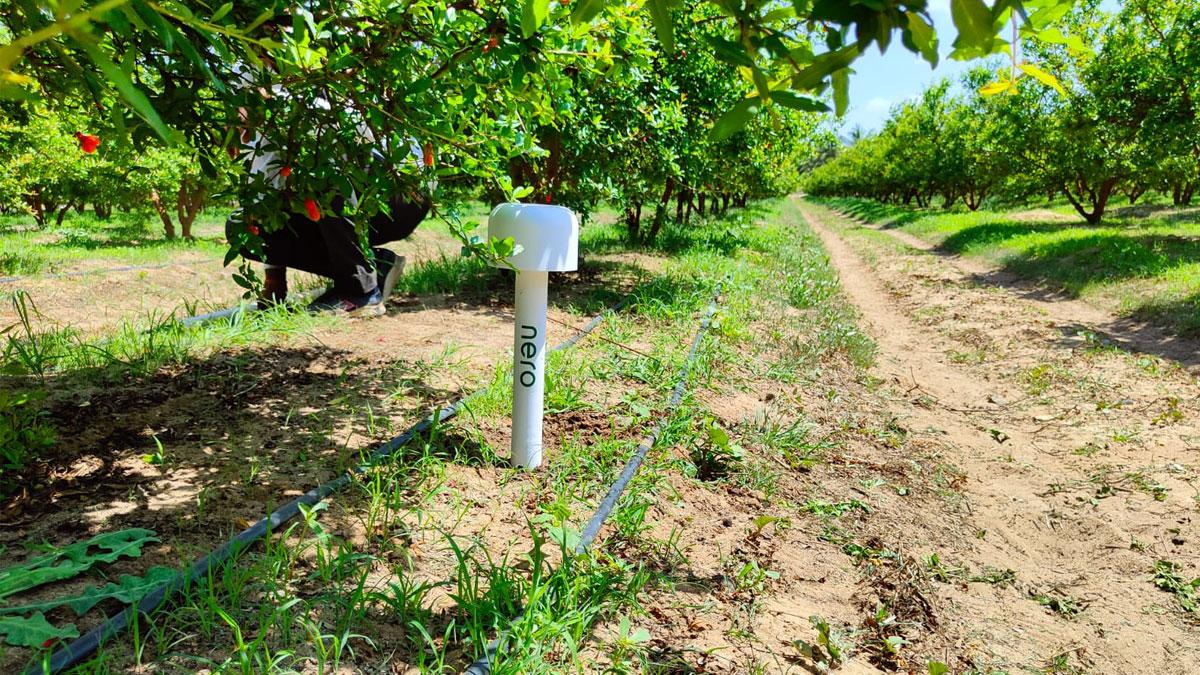 A four-year old venture based in the start-up capital of India -- Bengaluru -- is looking at marrying the two to create a platform to bring a large amount of certainty to farm produce