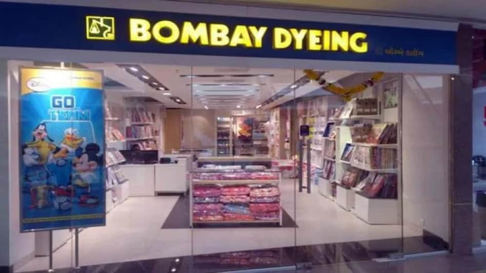 Wadia firm's net loss widens to Rs 246 cr Wadia firm's net loss widens to Rs 246 cr