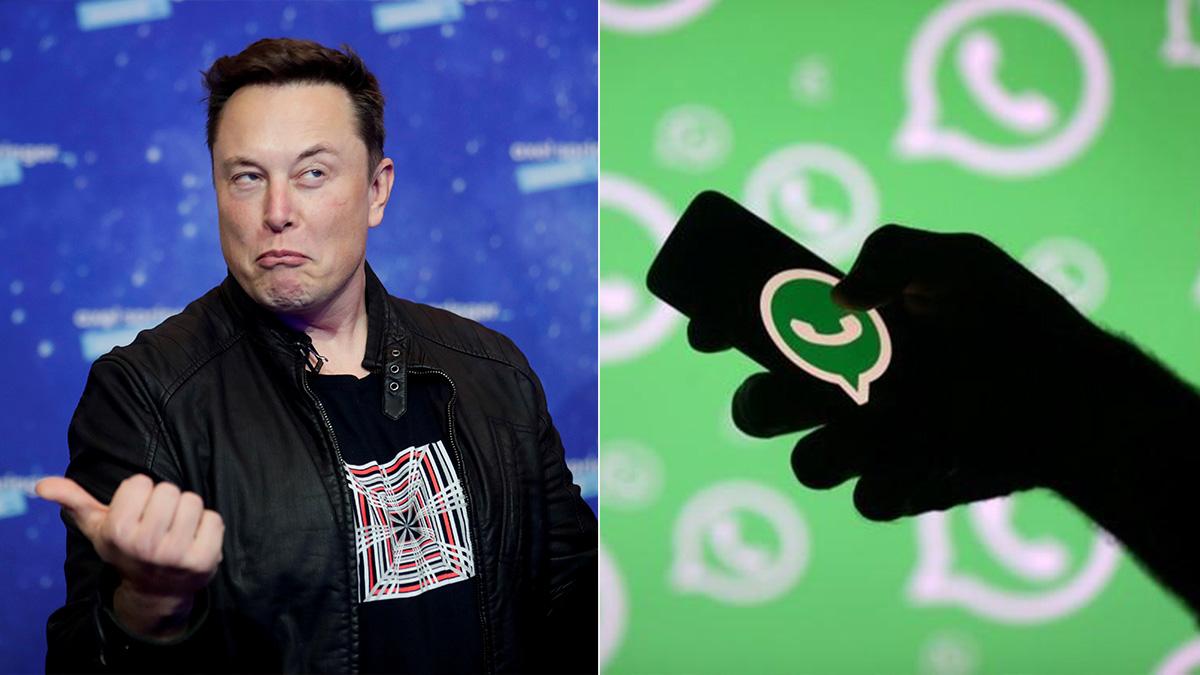 Elon Musk on WhatsApp Elon Musk on WhatsApp