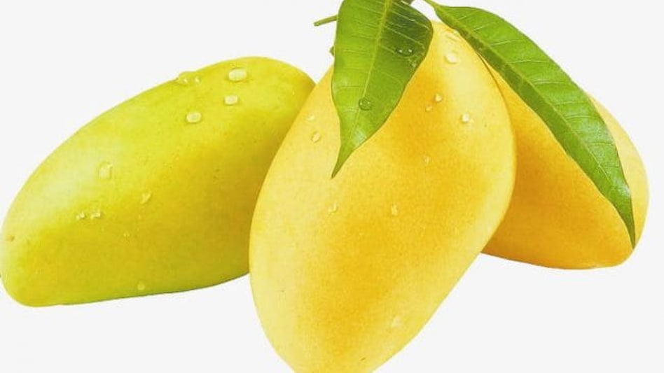 Mad for Mango: India consumed mangoes worth Rs 25 crore through Zepto in April Mad for Mango: India consumed mangoes worth Rs 25 crore through Zepto in April