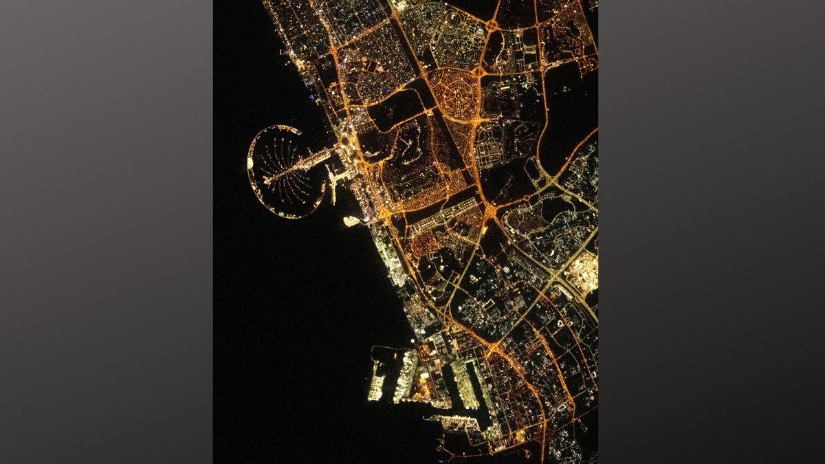 (Image: Twitter) (Image: Twitter)