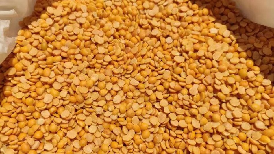 4 in 10 households feel the pinch as tur dal prices rise: Survey 4 in 10 households feel the pinch as tur dal prices rise: Survey