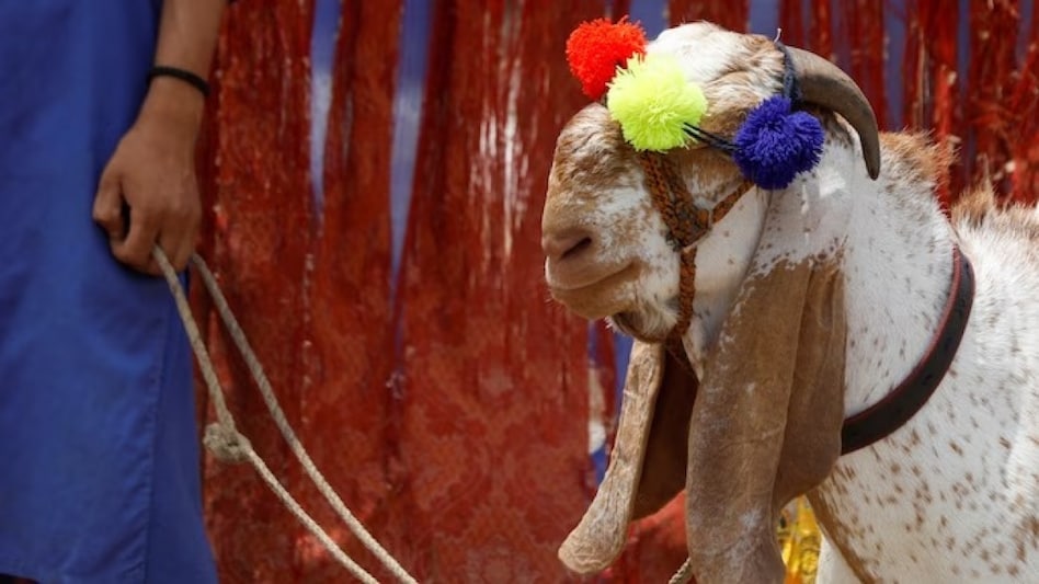 On Sunday, Pakistan-based GeoTV reported that a thief stole a sacrificial goat from a moving car in Quetta. On Sunday, Pakistan-based GeoTV reported that a thief stole a sacrificial goat from a moving car in Quetta.
