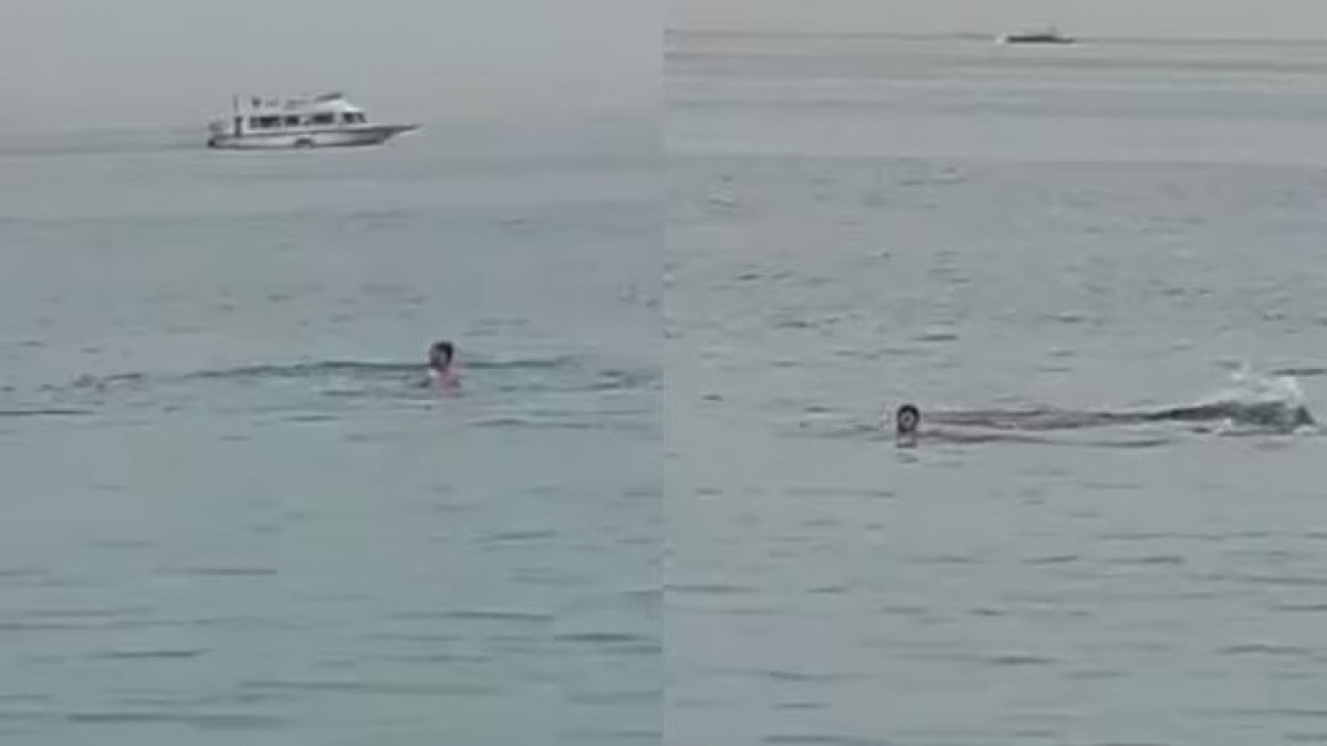 Authorities kill shark responsible for killing Russian man off Egyptian Red Sea resort Authorities kill shark responsible for killing Russian man off Egyptian Red Sea resort