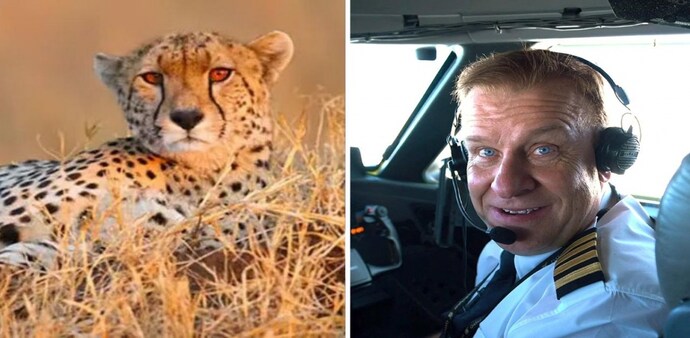 UK billionaire aboard missing Titanic tourist submarine arranged jet for cheetahs’ transfer to India from Namibia UK billionaire aboard missing Titanic tourist submarine arranged jet for cheetahs’ transfer to India from Namibia