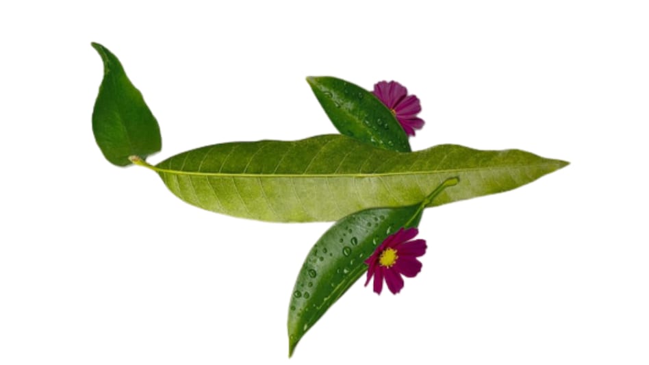 From environment-friendly jet fuel to phasing out single-use plastics, to carbon mapping airport assets, the world's fastest-growing aviation market is firmly on the flight path to sustainability From environment-friendly jet fuel to phasing out single-use plastics, to carbon mapping airport assets, the world's fastest-growing aviation market is firmly on the flight path to sustainability