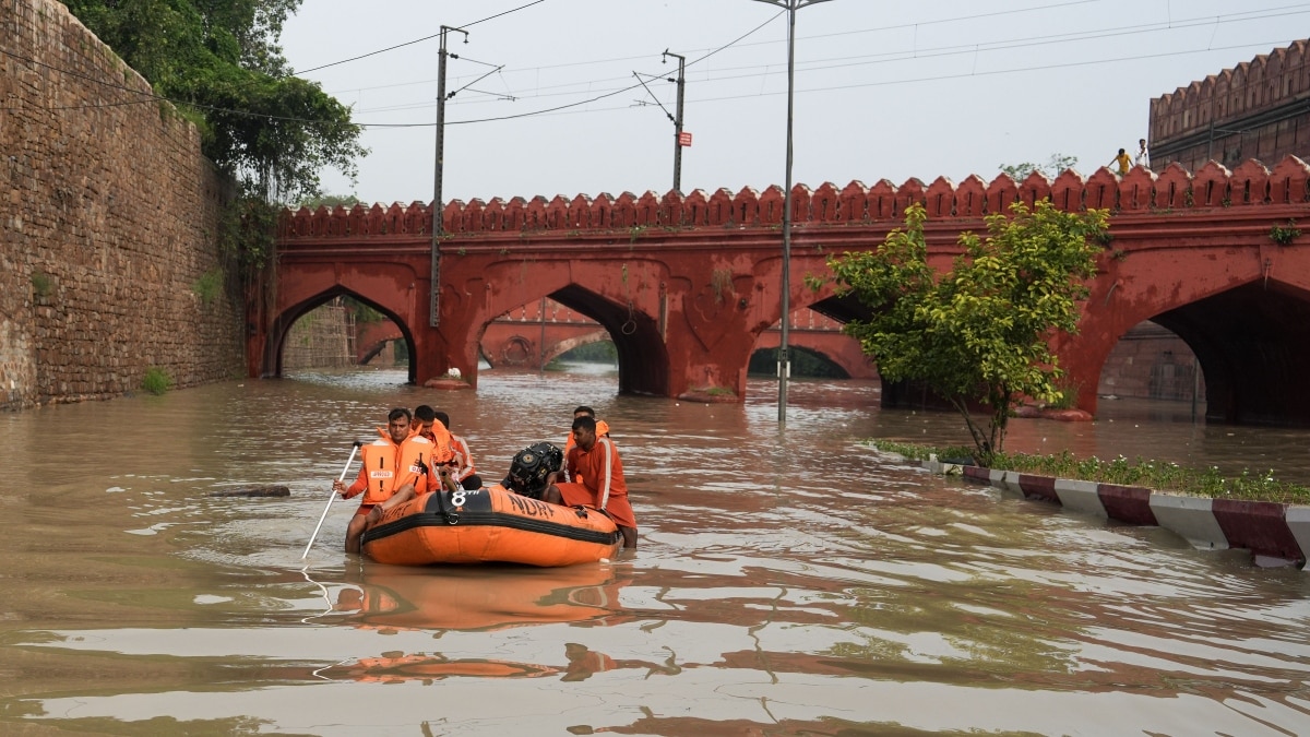 Delhi floods: Tragedy strikes as three children drown in Delhi's Mukundpur while bathing in floodwater Delhi floods: Tragedy strikes as three children drown in Delhi's Mukundpur while bathing in floodwater