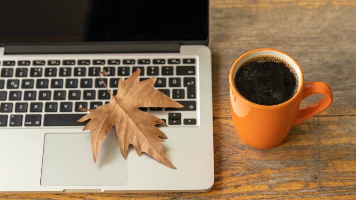 Tech company gives employees a recharge break, declares 9 days paid time off for all