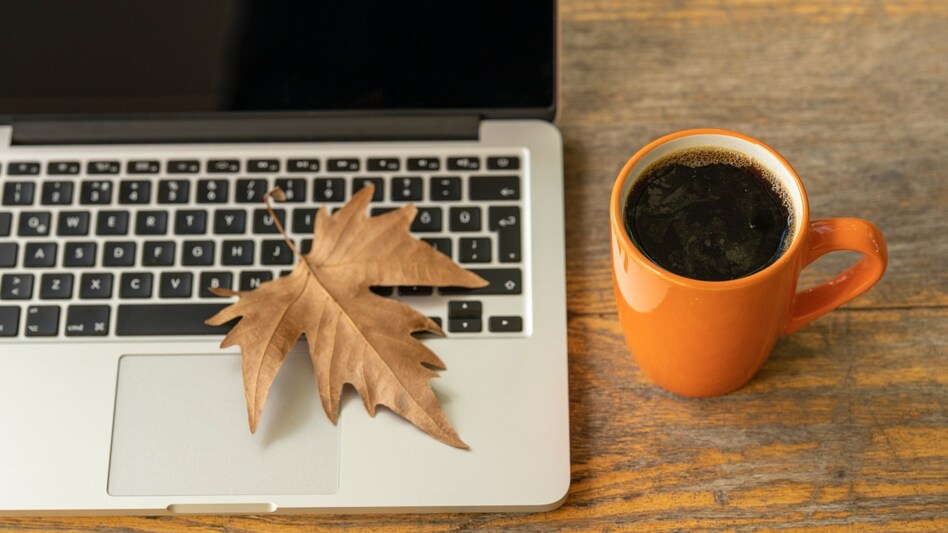 Tech company gives employees a recharge break, declares 9 days paid time off for all Tech company gives employees a recharge break, declares 9 days paid time off for all