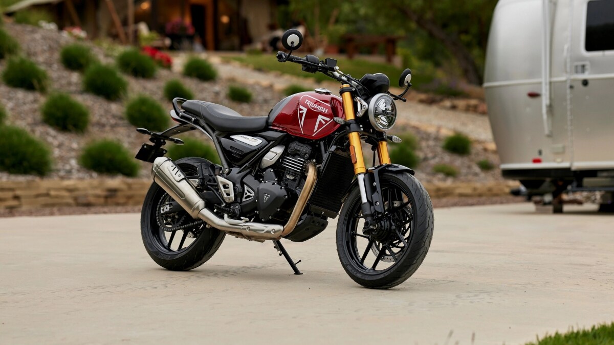 Изысканные очертания и утонченная привлекательность внешности