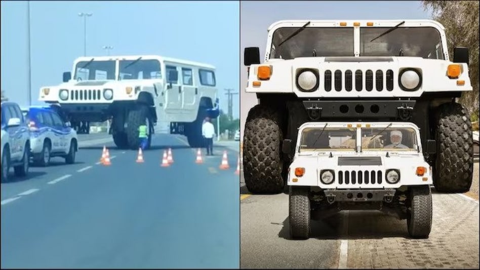 The video has garnered huge likes and views, sparking a flurry of reactions from stunned users. The video has garnered huge likes and views, sparking a flurry of reactions from stunned users.