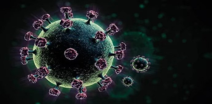 This variant is said to have 113 distinct mutations, compared to the lethal Omicron variant, which had roughly 50. This variant is said to have 113 distinct mutations, compared to the lethal Omicron variant, which had roughly 50.