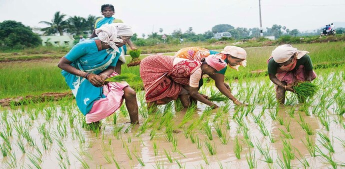 The government released the 13th instalment of the scheme on February 27, 2023. The government released the 13th instalment of the scheme on February 27, 2023.