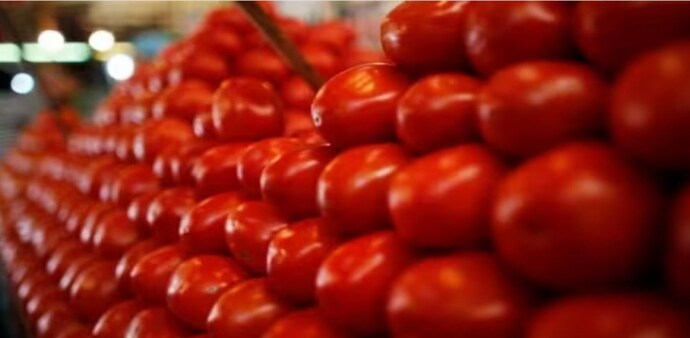 Prices of tomatoes shot up to over Rs 200 in some parts of the country due to supply disruption caused by heavy rainfall. Prices of tomatoes shot up to over Rs 200 in some parts of the country due to supply disruption caused by heavy rainfall.