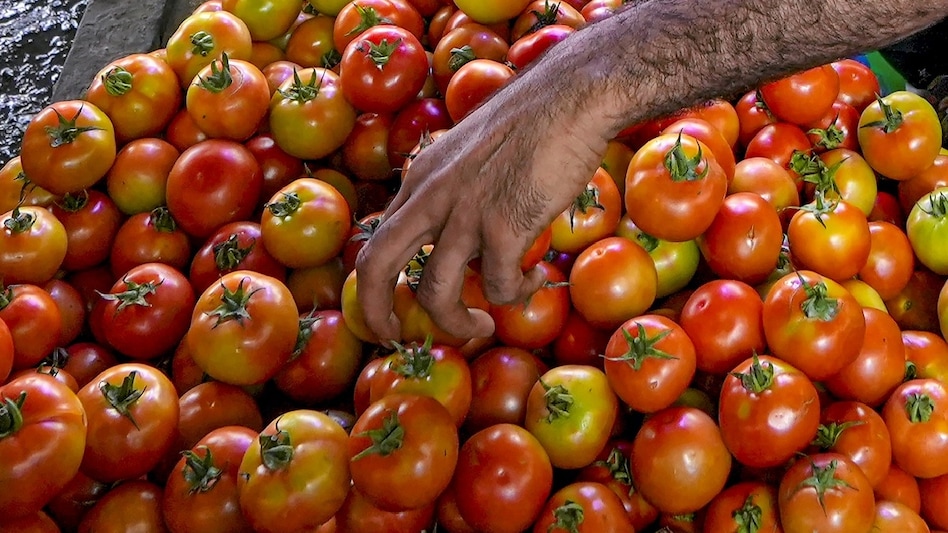 Centre procures tomato under Price Stabilisation Fund to provide respite to consumers Centre procures tomato under Price Stabilisation Fund to provide respite to consumers