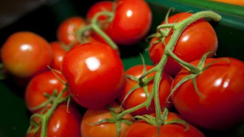 There is a shortage of tomatoes from Karnataka and Andhra Pradesh due to heavy losses in crops due to intermittent rain in these states. There is a shortage of tomatoes from Karnataka and Andhra Pradesh due to heavy losses in crops due to intermittent rain in these states.