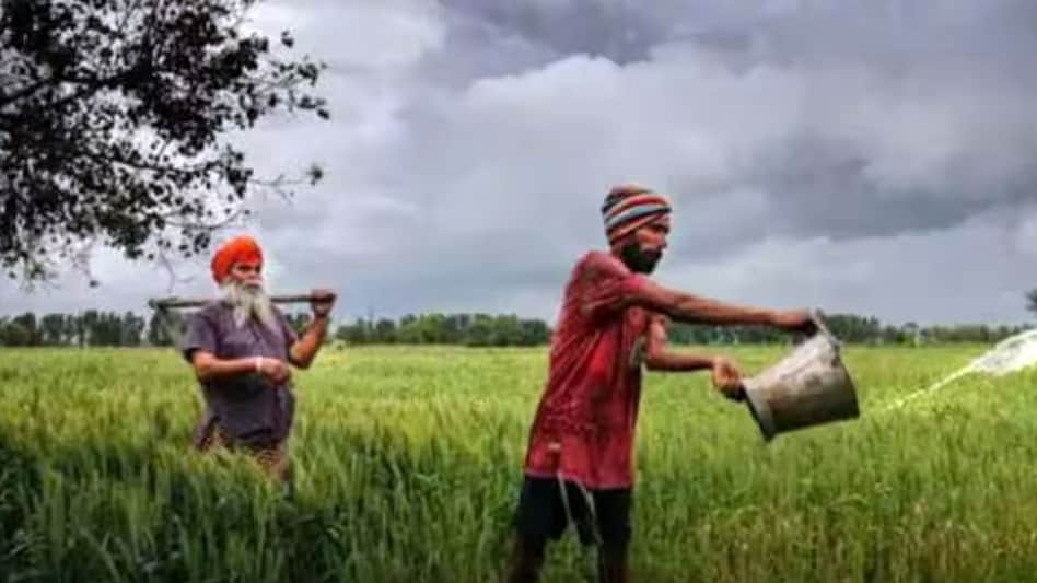 Till now, the rainfall pattern has been uneven across India, which poses a major threat for farmers. Till now, the rainfall pattern has been uneven across India, which poses a major threat for farmers.