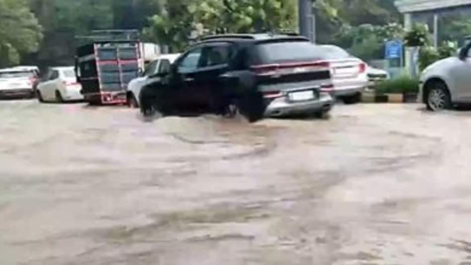 (Image: Twitter) (Image: Twitter)