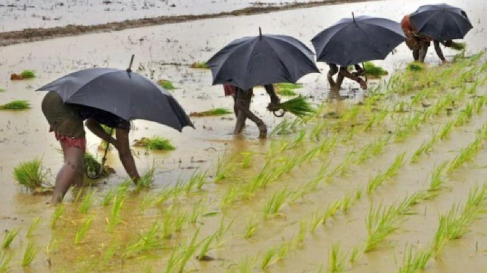 After driest August since 1901, India could receive average rains in September: IMD official After driest August since 1901, India could receive average rains in September: IMD official