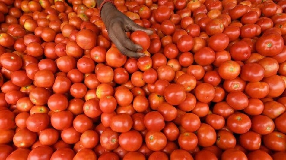 This also comes after the government reduced the prices of tomatoes to Rs 50 on August 15 and according to the latest directive, it has been further reduced to Rs 40. This also comes after the government reduced the prices of tomatoes to Rs 50 on August 15 and according to the latest directive, it has been further reduced to Rs 40.