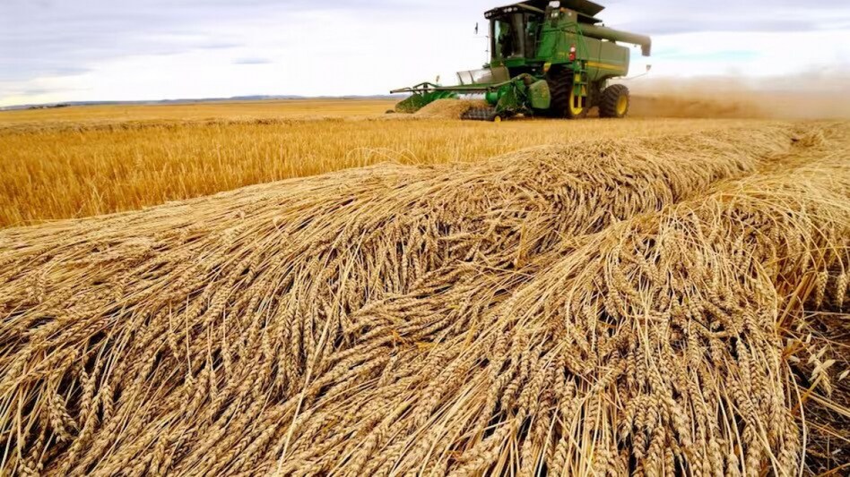Chopra said there is no plan to import wheat from Russia or engage in a government-to-government deal. Chopra said there is no plan to import wheat from Russia or engage in a government-to-government deal.
