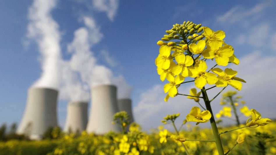 Sustainability has become a strategic imperative for organisations globally. Sustainability has become a strategic imperative for organisations globally.