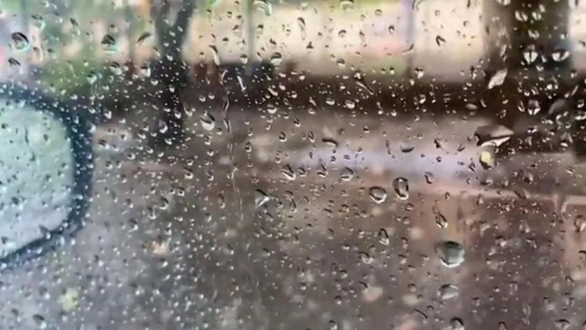 Parts of Uttarakhand, Arunachal Pradesh, Nagaland, Manipur, Mizoram and Tripura are likely to witness heavy rainfall on August 10 Parts of Uttarakhand, Arunachal Pradesh, Nagaland, Manipur, Mizoram and Tripura are likely to witness heavy rainfall on August 10