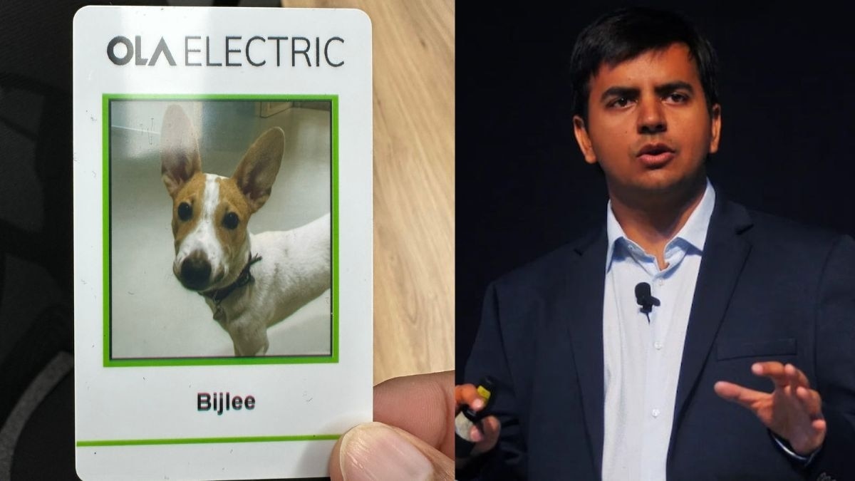 Ola Electric CEO Bhavish Aggrawal has hired a new four-legged employee named 'Bijlee' Ola Electric CEO Bhavish Aggrawal has hired a new four-legged employee named 'Bijlee'