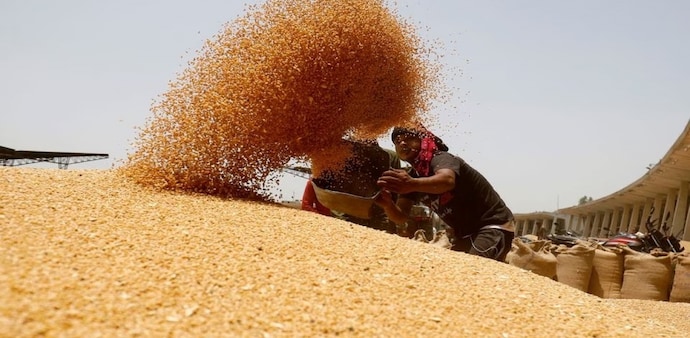Wheat prices in Indore rose by 1.5 per cent on Tuesday to Rs 25,446 per metric ton, the highest since February 10. Wheat prices in Indore rose by 1.5 per cent on Tuesday to Rs 25,446 per metric ton, the highest since February 10.