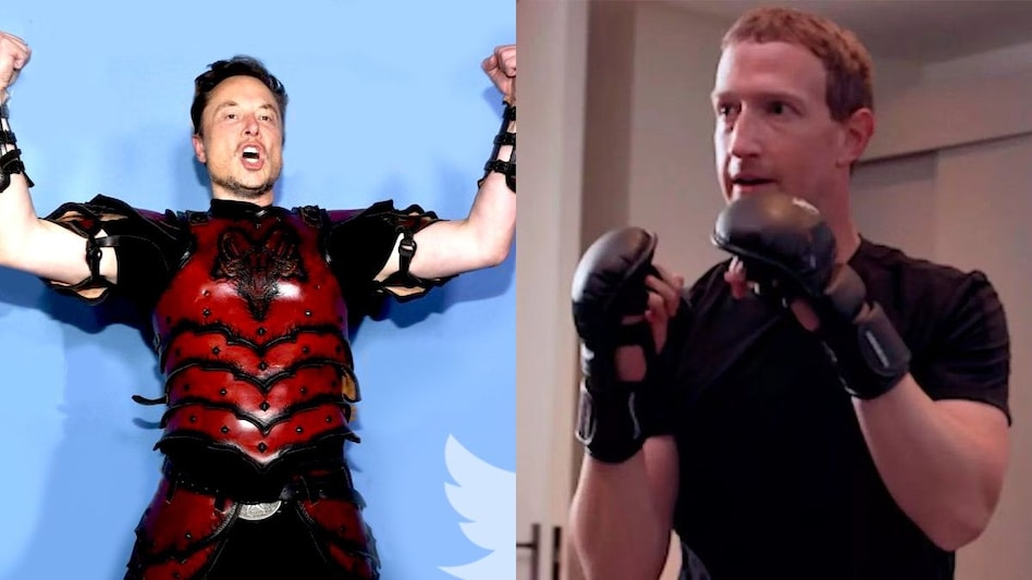 Elon Musk vs Mark Zuckerberg cage fight talks have re-ignited but is it just that, just talks? Elon Musk vs Mark Zuckerberg cage fight talks have re-ignited but is it just that, just talks?