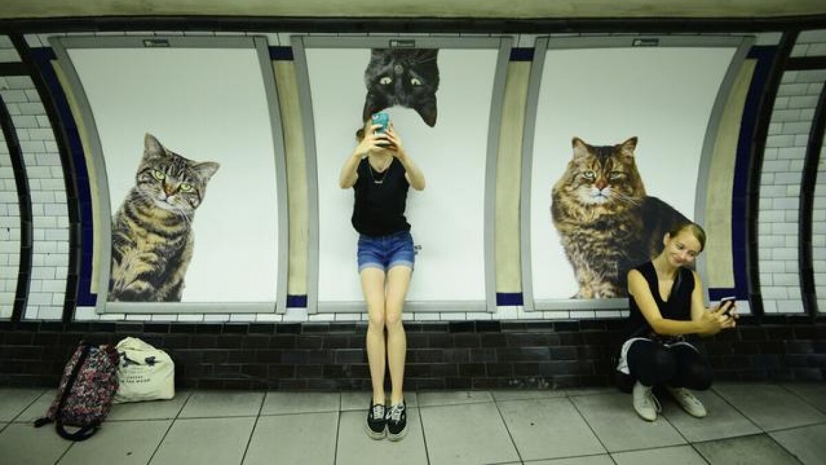 Creators are increasingly leveraging generative AI for fresh ideas and broader audiences, with over 1.7 billion views of videos related to or employing generative AI tools worldwide this year Creators are increasingly leveraging generative AI for fresh ideas and broader audiences, with over 1.7 billion views of videos related to or employing generative AI tools worldwide this year