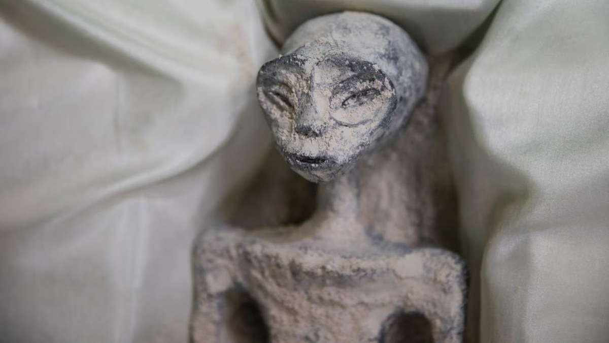 A tiny body of a specimen, that Mexican journalist and UFO enthusiast Jaime Maussan says is not related to any known Earthly species A tiny body of a specimen, that Mexican journalist and UFO enthusiast Jaime Maussan says is not related to any known Earthly species