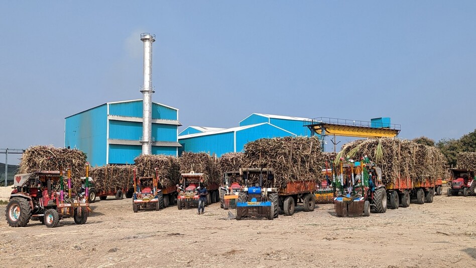 Maharashtra's output is crucial to India's ability to export, making the outlook for overseas shipments dismal for the coming season. Maharashtra's output is crucial to India's ability to export, making the outlook for overseas shipments dismal for the coming season.