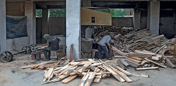 Workers make cricket bats at a factory in Awantipora, Srinagar (Photo by ABID BHAT) Workers make cricket bats at a factory in Awantipora, Srinagar (Photo by ABID BHAT)