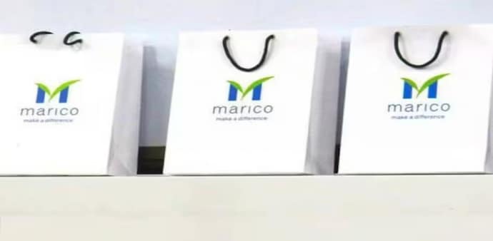 According to the company, its volume offtake during the quarter surged 3 per cent year-on-year, which was in line with its volume growth in the previous quarter (Q1FY24). According to the company, its volume offtake during the quarter surged 3 per cent year-on-year, which was in line with its volume growth in the previous quarter (Q1FY24).