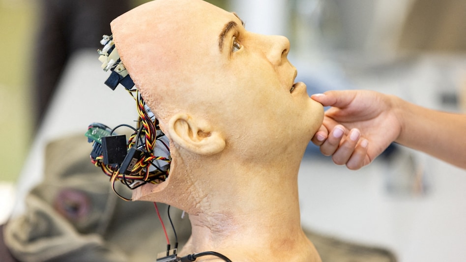 AI robots could play future role as companions in care homes. AI robots could play future role as companions in care homes.