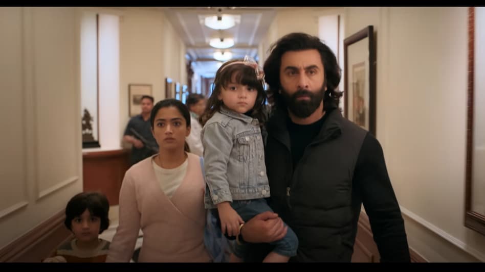 Animal advance bookings: Ranbir Kapoor's film on a roll Animal advance bookings: Ranbir Kapoor's film on a roll