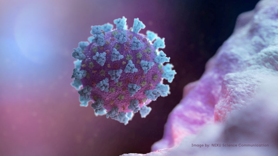 What is JN.1? All about the new Covid variant detected in US What is JN.1? All about the new Covid variant detected in US