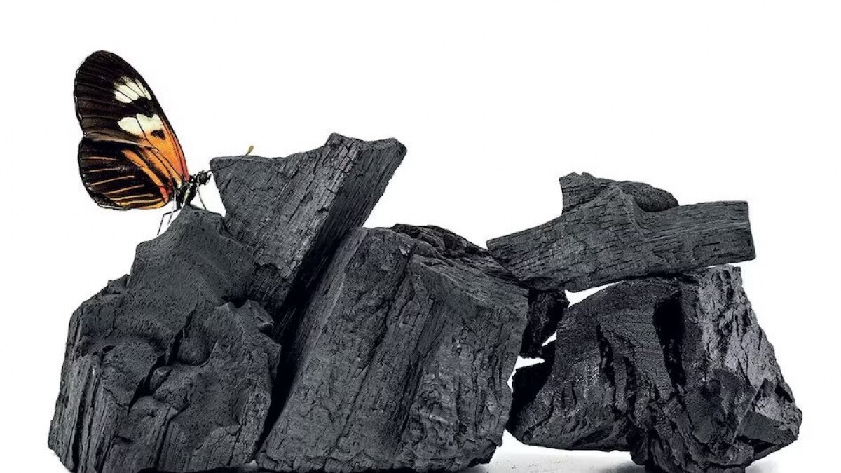 Private sector's engagement is vital in driving real-world action and achieving the ambitious climate goals, says COP28 President Sultan Al Jaber Private sector's engagement is vital in driving real-world action and achieving the ambitious climate goals, says COP28 President Sultan Al Jaber