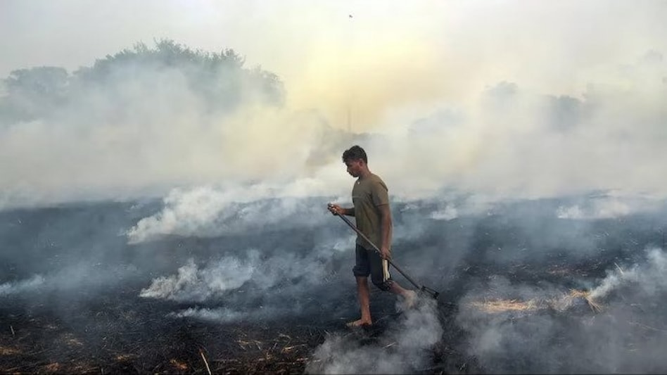 Stubble burning: SC pulls up Punjab and Delhi govt on air pollution, urges to find alternative to paddy cultivation Stubble burning: SC pulls up Punjab and Delhi govt on air pollution, urges to find alternative to paddy cultivation