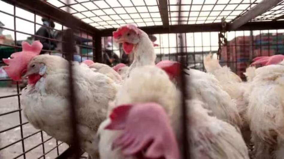 China reports an increase in respiratory diseases; the Indian government emphasizes preparedness and surveillance. China reports an increase in respiratory diseases; the Indian government emphasizes preparedness and surveillance.