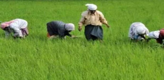 Projects agri GVA growth at below 1% in second half FY24 and below 2% overall in the fiscal Projects agri GVA growth at below 1% in second half FY24 and below 2% overall in the fiscal