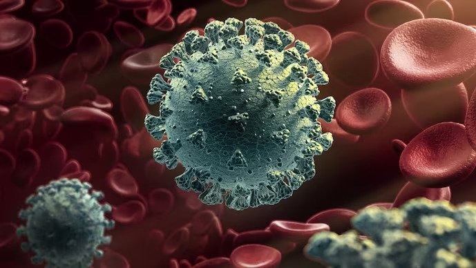 Only 1 in 9 Indians with Covid symptoms taking RT-PCR test: Survey