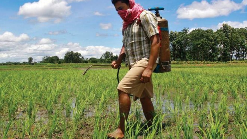 Food and nutrition security is one of the foremost challenges of the 21st century. Food and nutrition security is one of the foremost challenges of the 21st century.