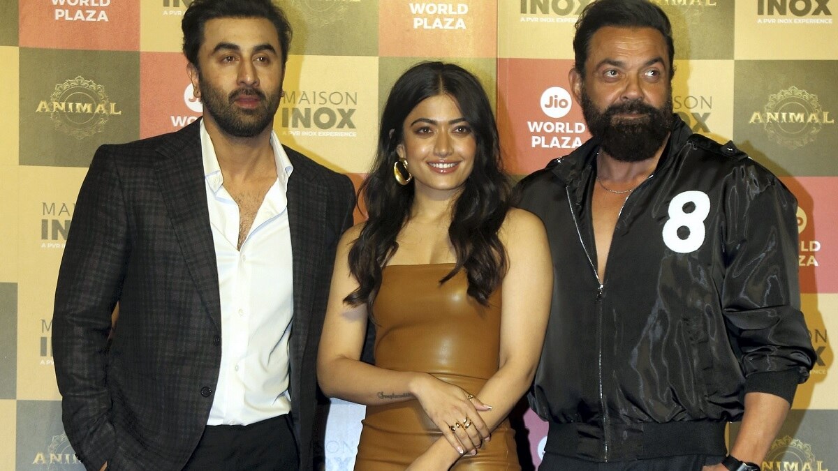 'Animal' worldwide box office collection Day 2: Ranbir Kapoor-starrer earns a whopping Rs 236 crore 'Animal' worldwide box office collection Day 2: Ranbir Kapoor-starrer earns a whopping Rs 236 crore