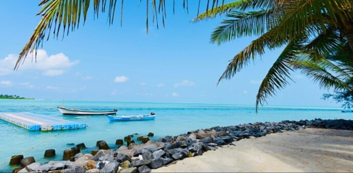 Netizens praise EaseMyTrip for being 'vocal for local' for Lakshadweep by suspending all Maldives bookings Netizens praise EaseMyTrip for being 'vocal for local' for Lakshadweep by suspending all Maldives bookings