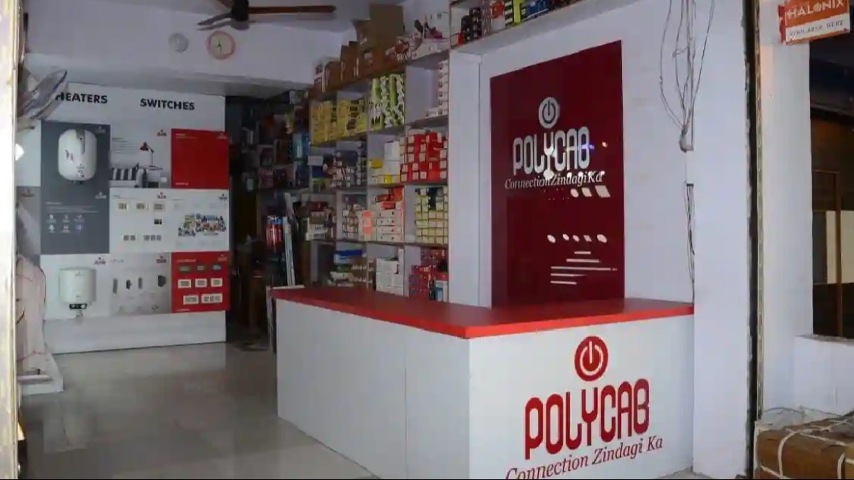 'If you aren't diversified in India, you're a fool': Finfluencer warns retail investors as Polycab falls 20%