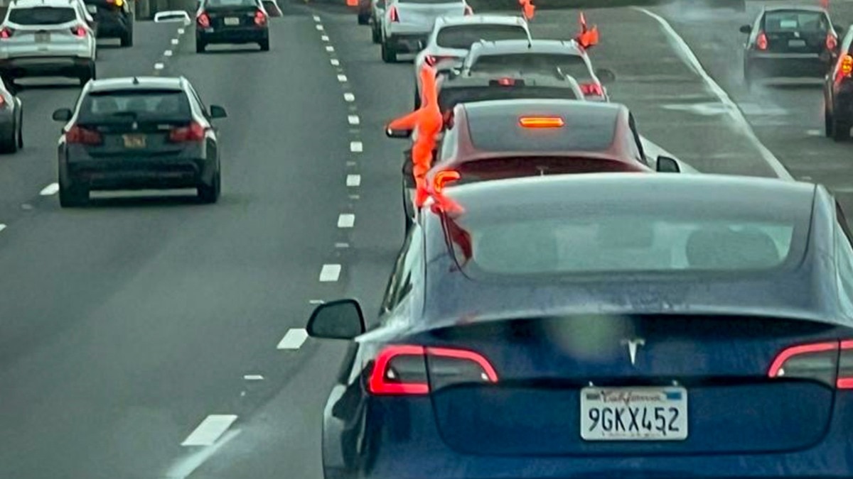 Tesla Car Owners in Bay Area US conduct a massive rally to celebrate Ram Temple inauguration Tesla Car Owners in Bay Area US conduct a massive rally to celebrate Ram Temple inauguration